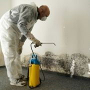 Schimmels in uw slaapkamer? Wat te doen?